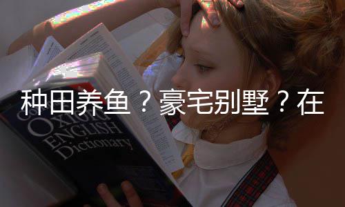 种田宅别在蜀打造的仙豪境传个性墅说中十足养鱼一座府